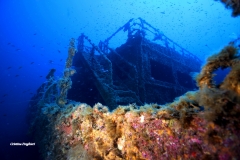 Haven Diving Center